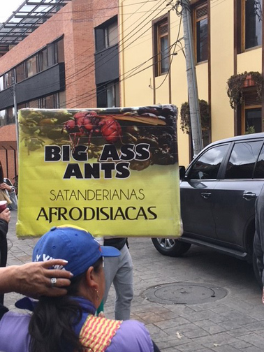 Big Ass Ants