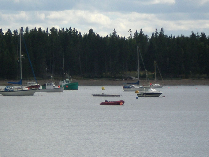 H92StAboats.JPG 66.63 K