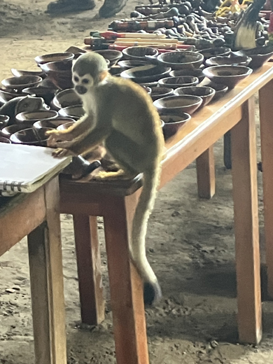 Joanie in Ecuador