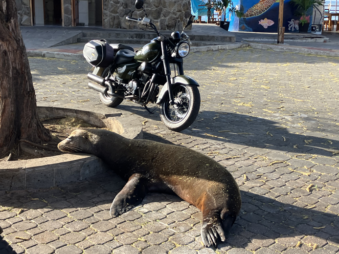 Joanie in Galapagos