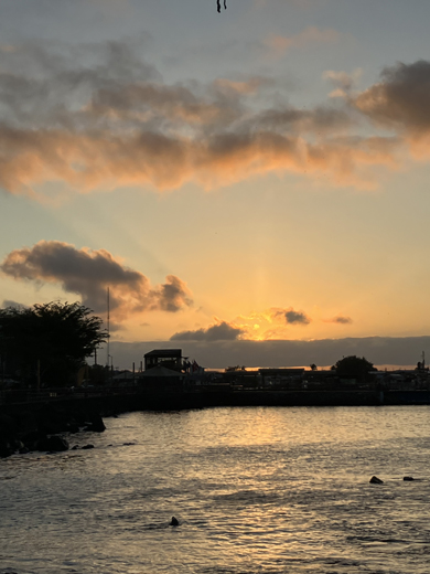 Joanie in Galapagos