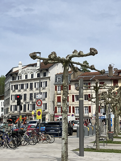 Bayonne