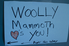 Woolly Sign