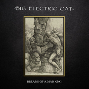 Big Electric Cat