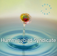 Hummingbird Syndicate