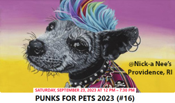 Punk for pets
