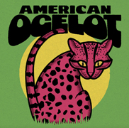 American Ocelot