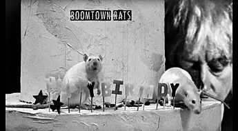 Boom Town rats